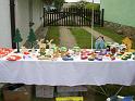 3. Forellenhoffest 2009 033